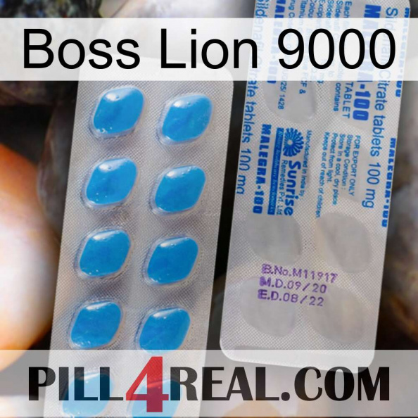 Boss Lion 9000 new15.jpg